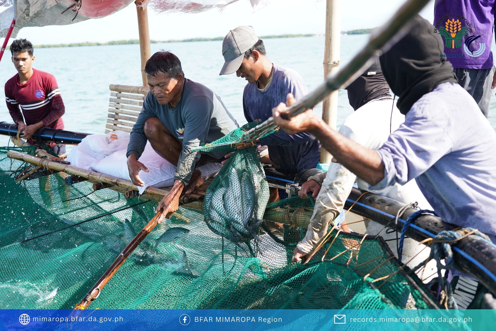 Agricultural lands of Magsaysay